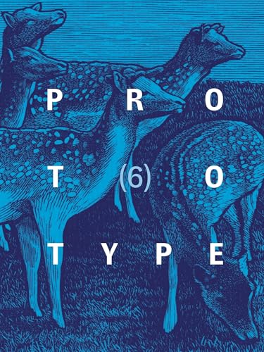 PROTOTYPE 6 - Paperback image 1