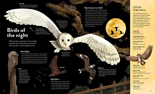 Anna Claybourne - Skygazing : Explore the Sky in the Day and Night - H image 5