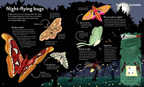 Anna Claybourne - Skygazing : Explore the Sky in the Day and Night - H image 6