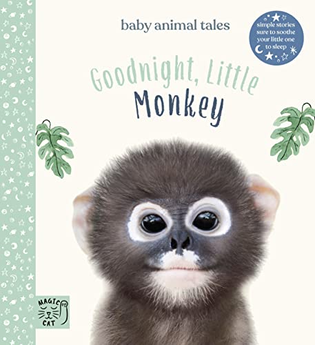 Amanda Wood - Goodnight, Little Monkey - Hardback