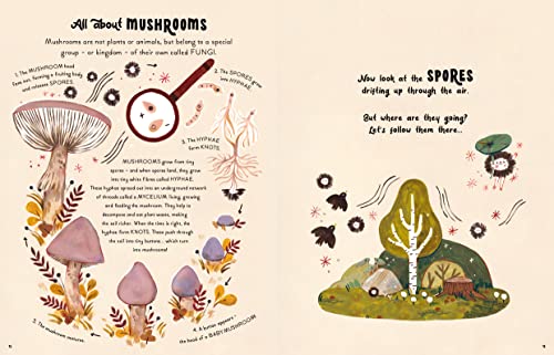 Gabby Dawnay - 5 Minute Nature Stories : True tales from the woodland image 7