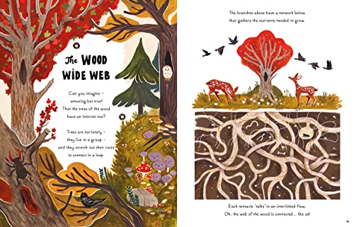 Gabby Dawnay - 5 Minute Nature Stories : True tales from the woodland image 8