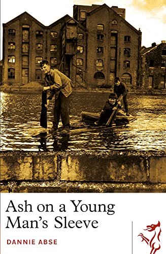 Dannie Abse - Ash on a Young Man's Sleeve - Paperback image 1
