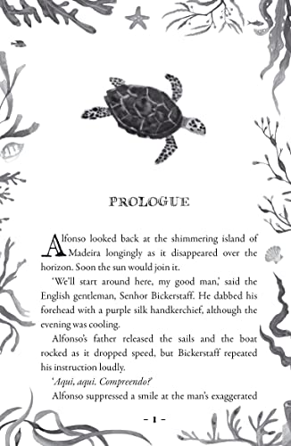 Lindsay Galvin - My Friend the Octopus - Paperback image 2