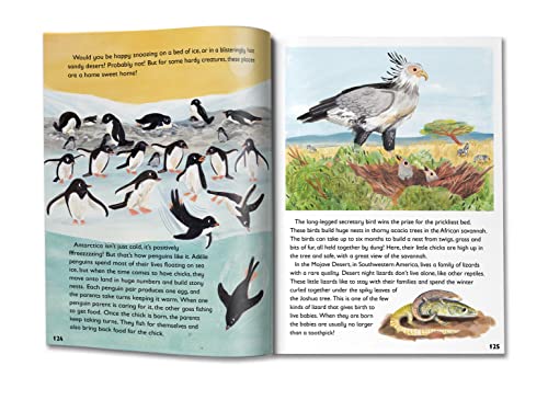 Britannica Group - Britannica's 5-Minute Really True Stories for F image 8