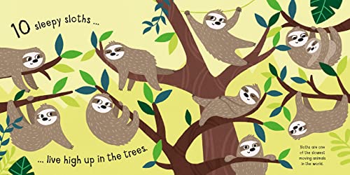 Vicky Barker - My Little Rainforest Explorer : Mirror Book! - Hardback image 2