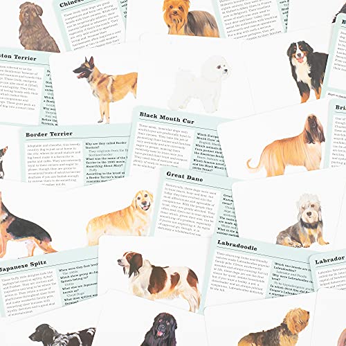Debora Robertson - Do You Know Your Dogs? : Dog lovers' quiz cards image 4