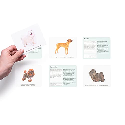 Debora Robertson - Do You Know Your Dogs? : Dog lovers' quiz cards image 5