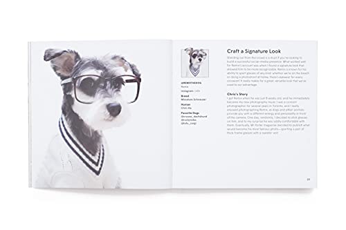 Loni Edwards - How To Make Your Dog #Famous : A Guide to Social Media image 3