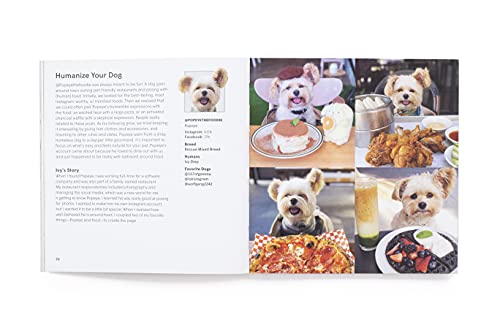 Loni Edwards - How To Make Your Dog #Famous : A Guide to Social Media image 4