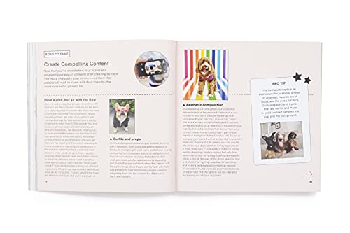 Loni Edwards - How To Make Your Dog #Famous : A Guide to Social Media image 5