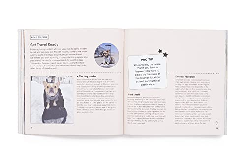 Loni Edwards - How To Make Your Dog #Famous : A Guide to Social Media image 7