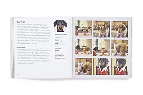 Loni Edwards - How To Make Your Dog #Famous : A Guide to Social Media image 8