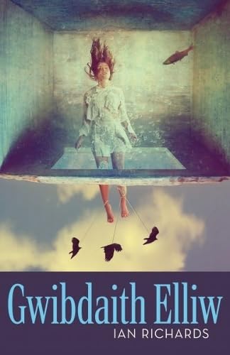 Ian Richards - Gwibdaith Elliw - Paperback image 1