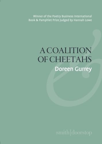 Doreen Gurrey - A Coalition of Cheetahs - Paperback image 1