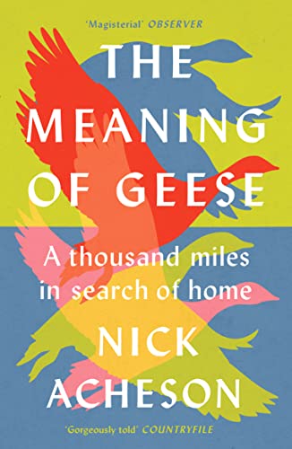 Nick Acheson - Meaning of Geese : A Thousand Miles in Search of Home - image 1