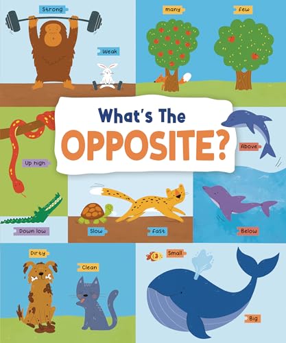 John Allan - What's the Opposite? : Big and Small, High and Low an image 1