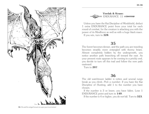 Joe Dever - Flight from the Dark (Junior Edition) : Lone Wolf #1 - Pap image 7