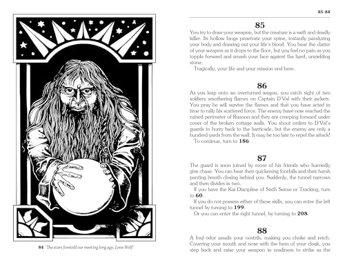 Joe Dever - Chasm of Doom (Junior Edition) : Lone Wolf #4 - Paperback image 6