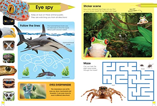 Penny Arlon - Curious Creatures : with stickers and activities to make image 3