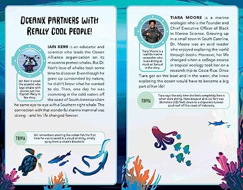 Kate B. Jerome - Daring Dolphin Rescue : 3 - Paperback image 3