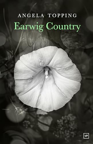 Angela Topping - Earwig Country - Paperback image 1