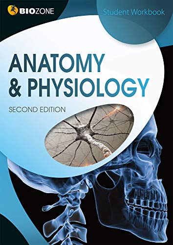 Richard Allan - Anatomy & Physiology : Student Workbook - Paperback image 1
