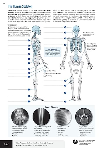 Richard Allan - Anatomy & Physiology : Student Workbook - Paperback image 3