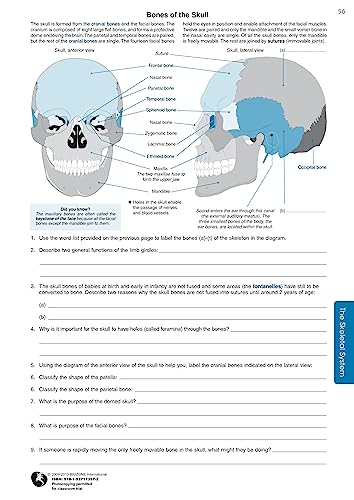 Richard Allan - Anatomy & Physiology : Student Workbook - Paperback image 4