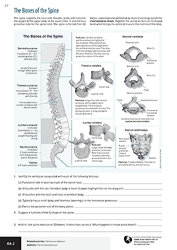 Richard Allan - Anatomy & Physiology : Student Workbook - Paperback image 5