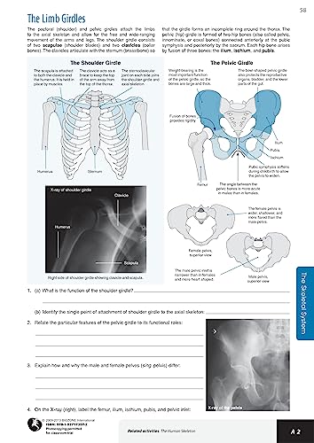 Richard Allan - Anatomy & Physiology : Student Workbook - Paperback image 6