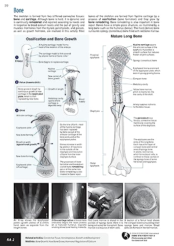 Richard Allan - Anatomy & Physiology : Student Workbook - Paperback image 7