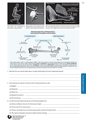 Richard Allan - Anatomy & Physiology : Student Workbook - Paperback image 8