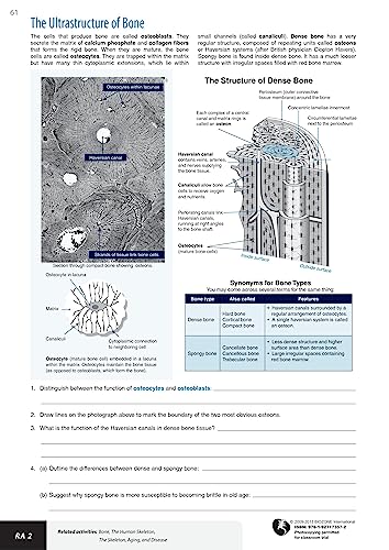 Richard Allan - Anatomy & Physiology : Student Workbook - Paperback image 9
