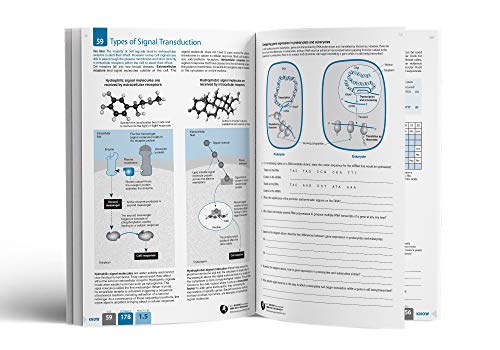 Richard Allan - AP Biology 1 : Student Edition - Paperback image 3