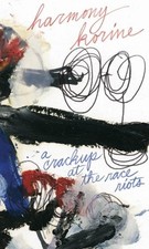 HARMONY KORINE - A CRACK-UP AT THE RACE RIOTS - BOOK image 1