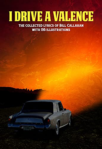 BILL CALLAHAN - I DRIVE A VALENCE - BOOK image 1