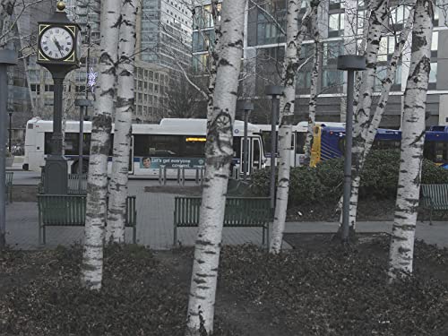 Evanescent Cities - Hardback image 4
