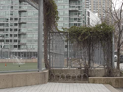Evanescent Cities - Hardback image 7