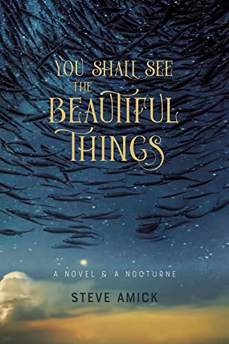 Steve Amick - You Shall See the Beautiful Things - A Novel & A Nocturn image 1