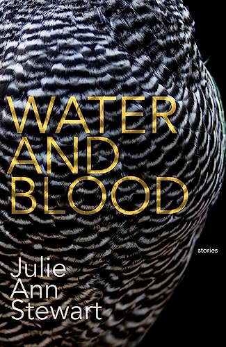 Julie Stewart - Water and Blood - Paperback image 1