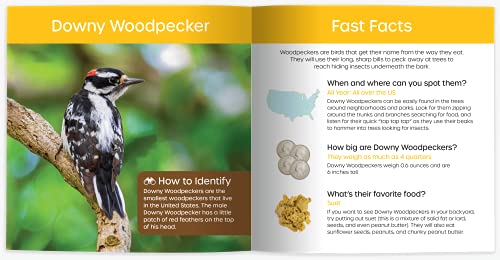 Cheryl Johnson - My Backyard Bird Book : Fun Facts & Surprising Secret image 6