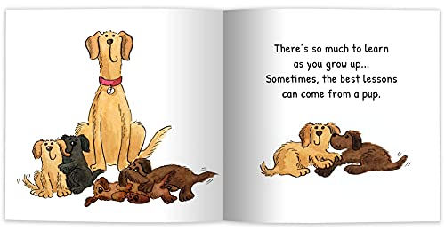 Chalaine Kilduff - Sit. Stay. Love. Life Lessons from a Doggie - Paper image 3
