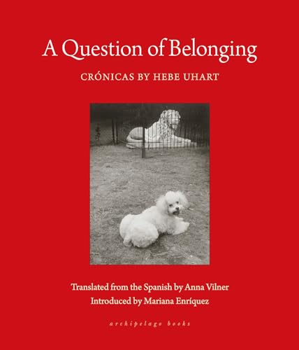 Anna Vilner - A Question Of Belonging : Cronicas - Paperback image 1