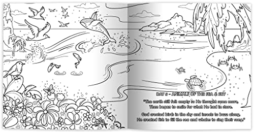 Liana La Rocca - God's Gifts : Gratitude for His Creations, Colori image 7