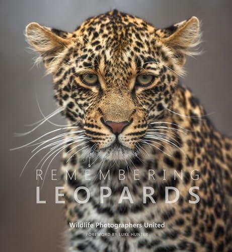 Remembering Leopards - Hardback image 1