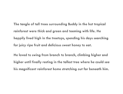 Ellie Jackson - Buddy's Rainforest Rescue : A True Story About Def image 3