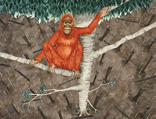 Ellie Jackson - Buddy's Rainforest Rescue : A True Story About Def image 4