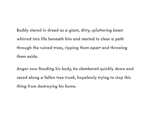 Ellie Jackson - Buddy's Rainforest Rescue : A True Story About Def image 5