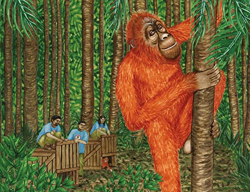 Ellie Jackson - Buddy's Rainforest Rescue : A True Story About Def image 7